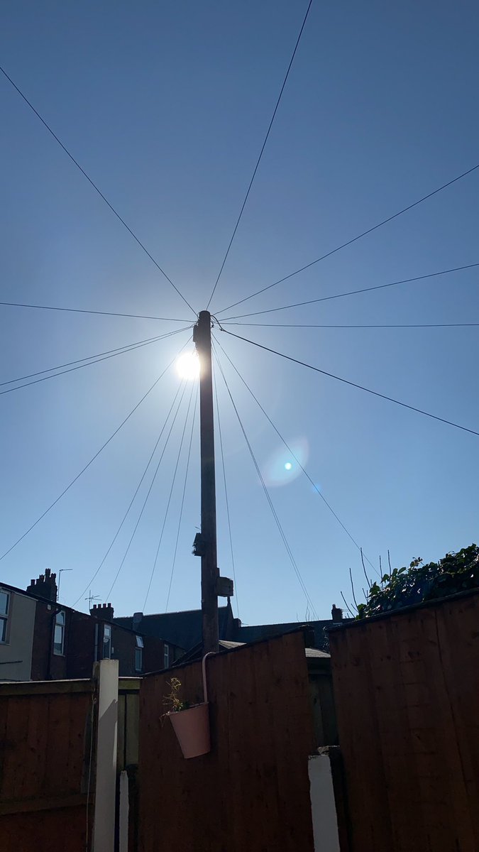 Beautiful blue sky, no planes, hardly any cars, birds singing and wildlife coming closer x