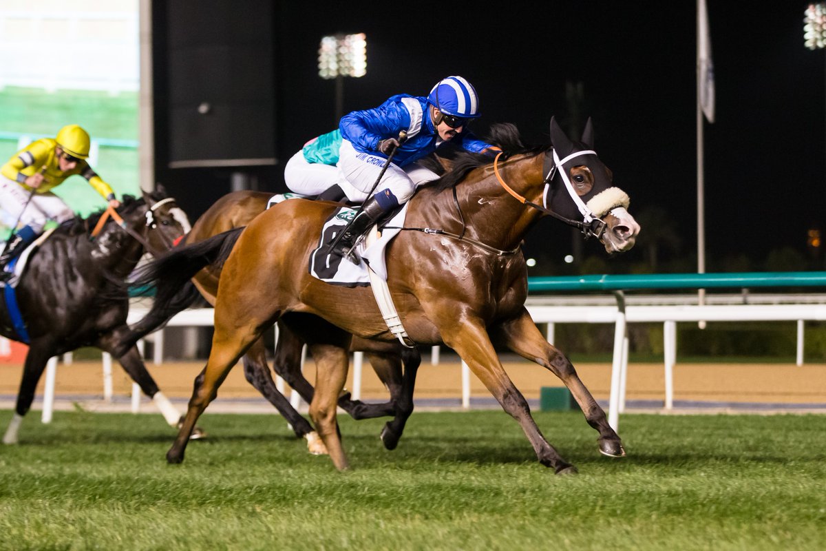 RacingDubai's tweet photo. #DWCnotes | March 13 2020
🔘IMPERIAL HINT FLIES IN SHAHEEN BREEZE
🔘KEW GARDENS TO LEAD AIDAN O'BRIEN ARMY
🔘WAADY HAS AL QUOZ ASPIRATIONS
📖https://t.co/sL4SZK10wR
#DubaiWorldCup https://t.co/QTEqtZadyw