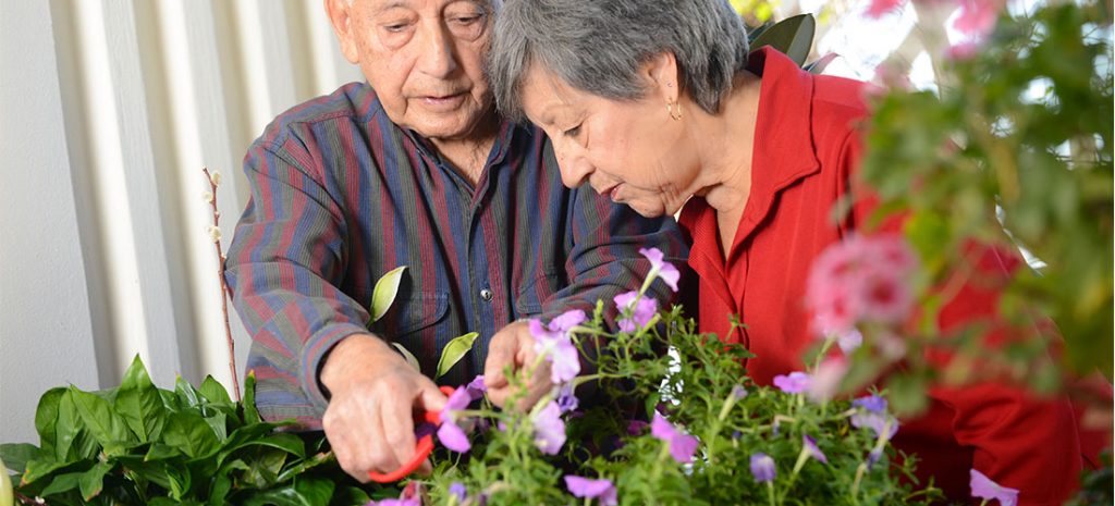 MedicareBen's tweet photo. Gardening and the Elderly (benefits and advice) https://t.co/fK5fZqXz3T https://t.co/H6I8ta5AP1