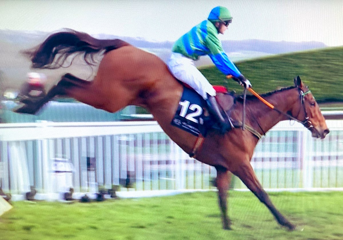 amajox's tweet photo. Huge congrats 🇨🇮 @amajox @MaxineOSullivan WINS @sjpwealth #Foxhunter Hunter Chase #ItCameToPass for father Eugene #21ran #topride #topjock 🏆👌👍👏👏👏👏👏💚 https://t.co/HL4xF2jz9S