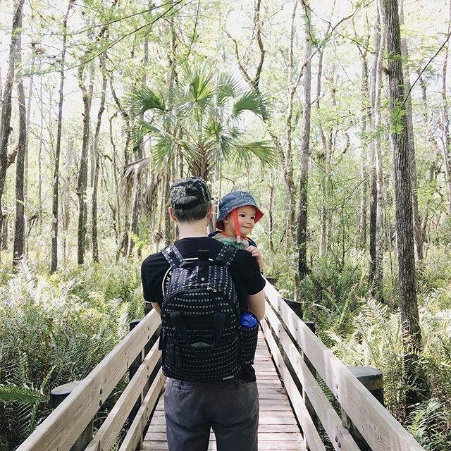 Took babe to the local nature park. ift.tt/2Wfgqcz