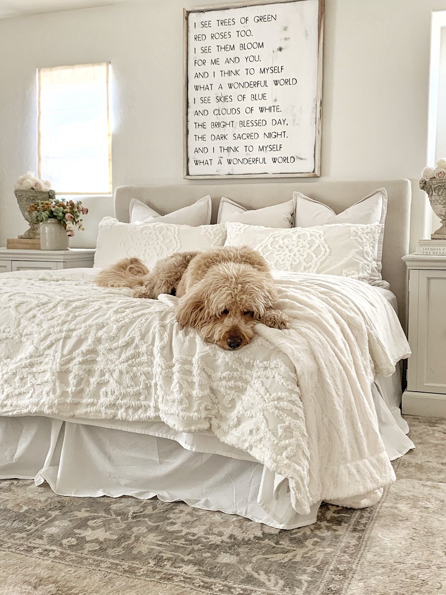 Jcpenney On Twitter No The Dog Isn T Included But The Bedding