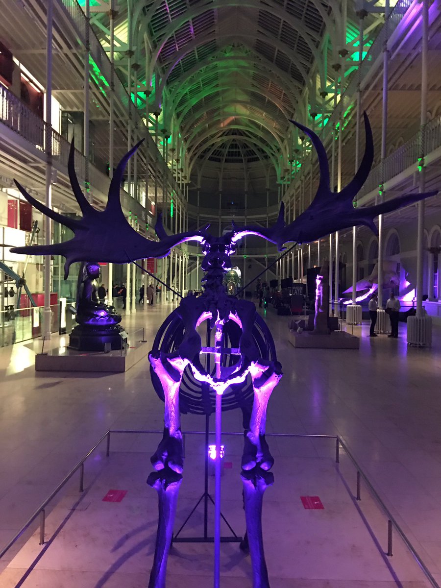 NtlMuseumsScot's tweet photo. The Museum is ready for Museum Late: Jurassic Party! Let it begin... #nationalmuseumofscotland #NmsLates #MuseumLates #Edinburgh #Scotland https://t.co/k941A6UjT4