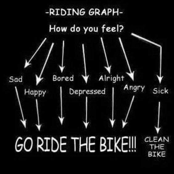 MelbourneBikeTC's tweet photo. https://t.co/c3fHEByDGK