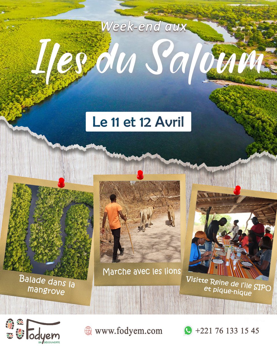 FODYEM's tweet photo. Week-end aux îles du #saloum RESERVATION sur https://t.co/7VDZYp2IJP https://t.co/QlU5r7XKzP