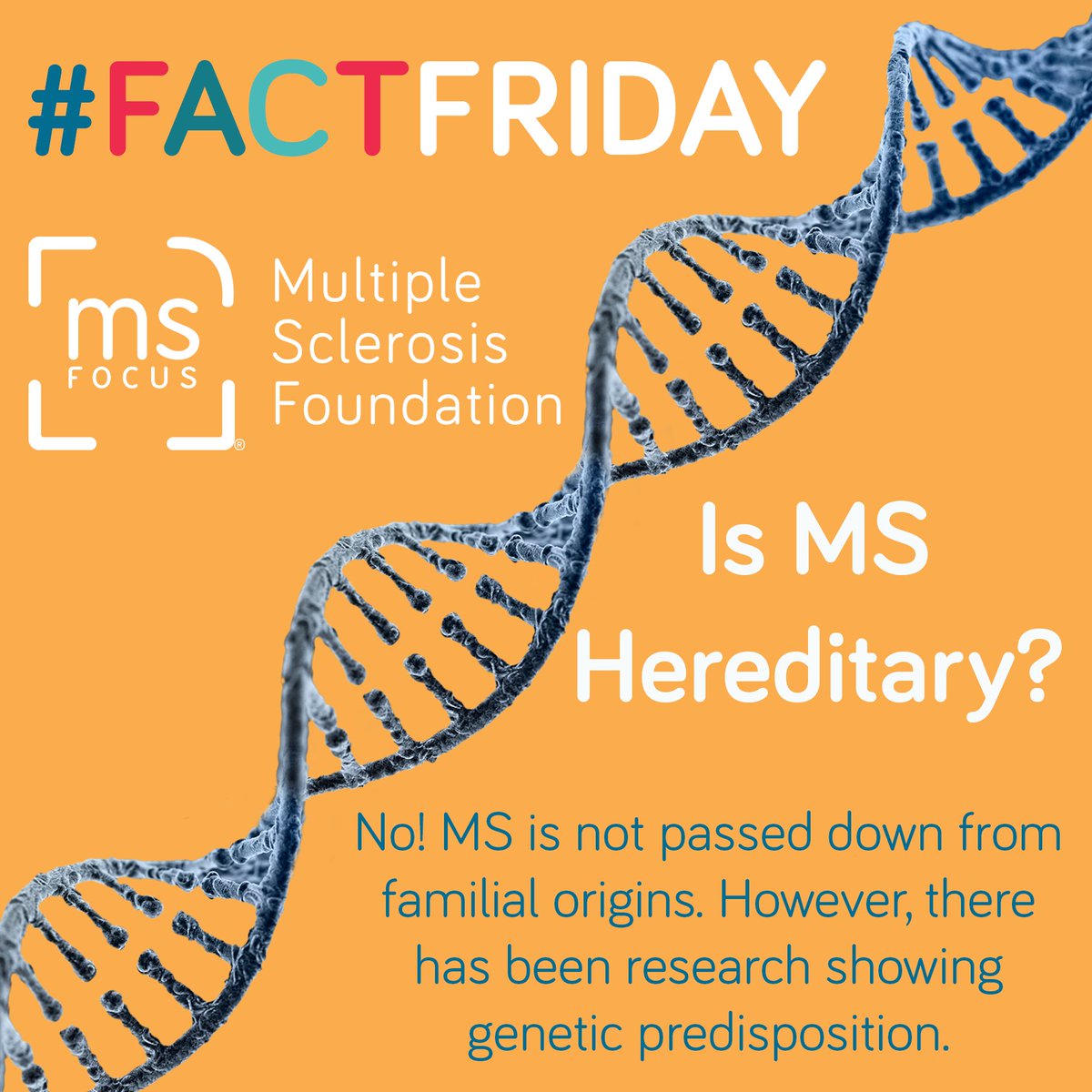 MS_Focus's tweet photo. Today is #FactFriday. Did you know that MS is NOT hereditary? However, there has been #research showing those who live with #MS may have genetic dispositions to develop the disease.
#Fact #MultipleSclerosis #MSFocus #NMSEAM #ImVisible https://t.co/IY1VZEXsJc