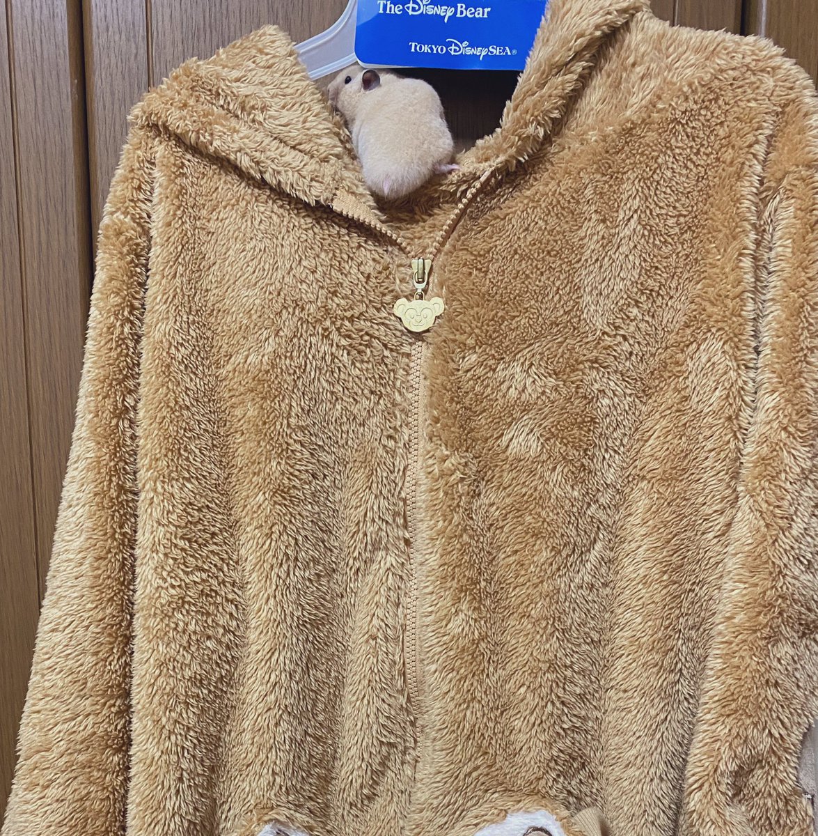 ダッフィーパーカー