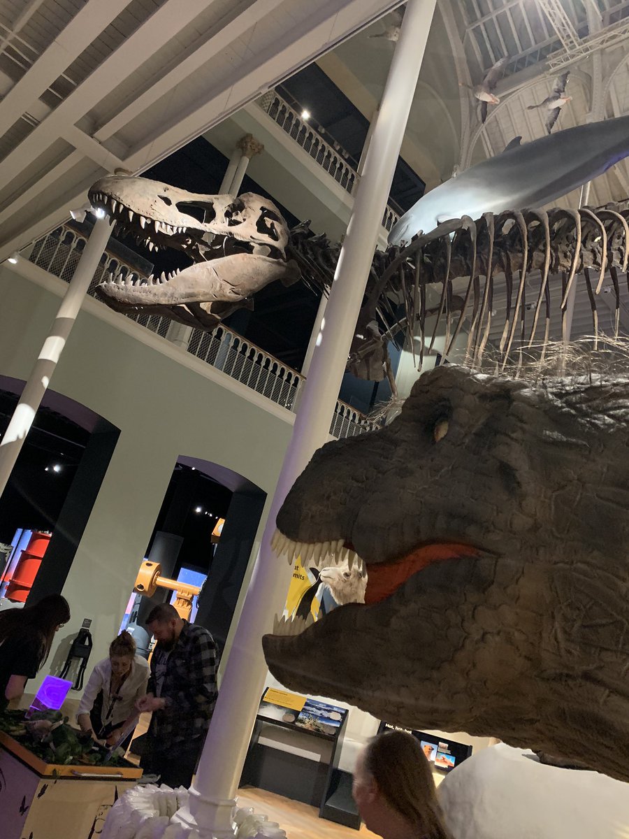 Sherri_D2's tweet photo. @NtlMuseumsScot #NmsLates #MuseumLates #Tyrannosaurus #Dinosaurs Dinner-date with T-rex! https://t.co/lz1XyDVH58
