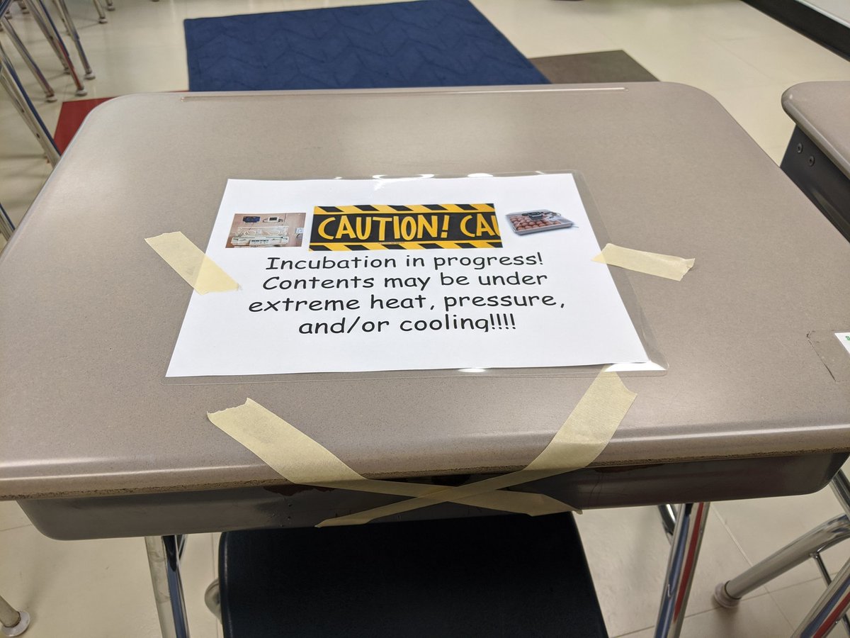 MurrinVeronika's tweet photo. Our CAUTION! changed to EXCITEMENT! and PRIDE! as my 4th graders witnessed the "birth/hatching of their rocks" today. @VV_Voyagers #enjoytheview #viewourstory https://t.co/asi3rHHVMZ https://t.co/qUYxFxm8eY