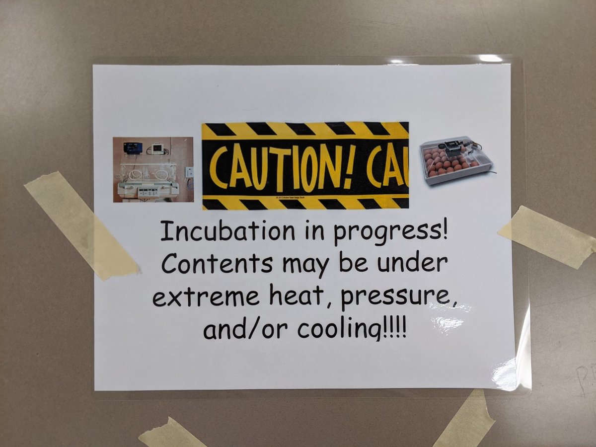 MurrinVeronika's tweet photo. Our CAUTION! changed to EXCITEMENT! and PRIDE! as my 4th graders witnessed the "birth/hatching of their rocks" today. @VV_Voyagers #enjoytheview #viewourstory https://t.co/asi3rHHVMZ https://t.co/qUYxFxm8eY