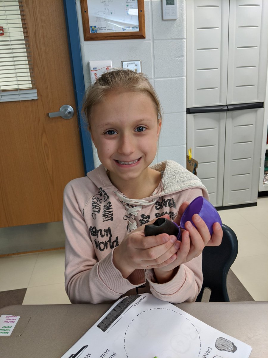 MurrinVeronika's tweet photo. Our CAUTION! changed to EXCITEMENT! and PRIDE! as my 4th graders witnessed the "birth/hatching of their rocks" today. @VV_Voyagers #enjoytheview #viewourstory https://t.co/asi3rHHVMZ https://t.co/qUYxFxm8eY