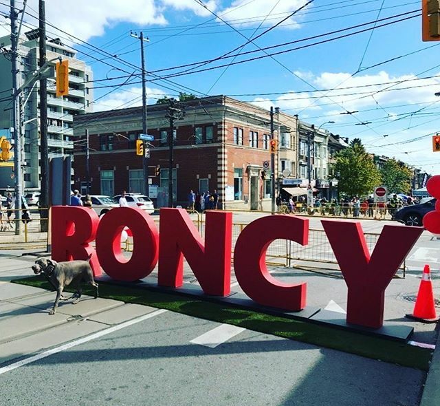 RoncesVillage's tweet photo. To our friends, family, neighbours and business owners; if you’re feeling stressed and worried, you’re not alone. But don’t forget that just about everything you need can be found at the wonderful #smallbusinesses on #roncesvalles. We can support each ot… https://t.co/ciO8oCcopf https://t.co/yEuOBr6T7e