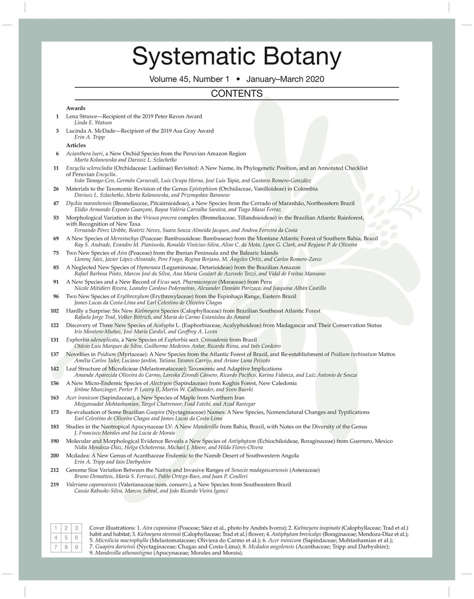 AmSocPlantTaxon's tweet photo. Looking for some reading material? Check out the new issue of #systbot, chock full of amazing new #botany discoveries. https://t.co/vuCeaa20qg