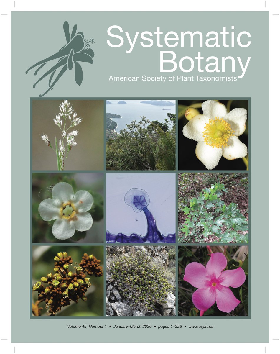 AmSocPlantTaxon's tweet photo. Looking for some reading material? Check out the new issue of #systbot, chock full of amazing new #botany discoveries. https://t.co/vuCeaa20qg