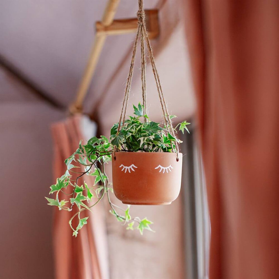 eggthunder's tweet image. Spring is coming! We can&apos;t wait to fill our homes with beautiful blooms and lush leaves 😍🌱💐
Head to thunderegg.co.uk to shop our exciting range of planters this weekend. 💚