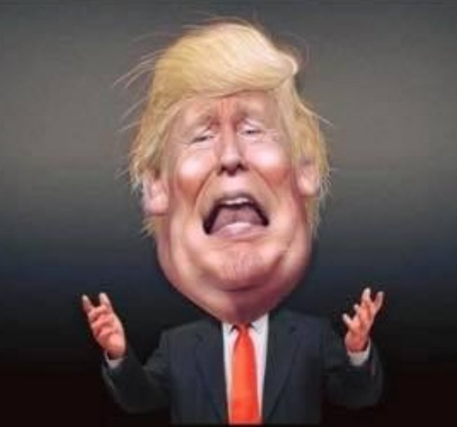 spike_osullivan's tweet photo. Wouldn't it be ironic if #Trump was brought down by a virus from China.  Named after Mexican beer! #coronapocalypse #Covid_19 https://t.co/sKabM0kY1F