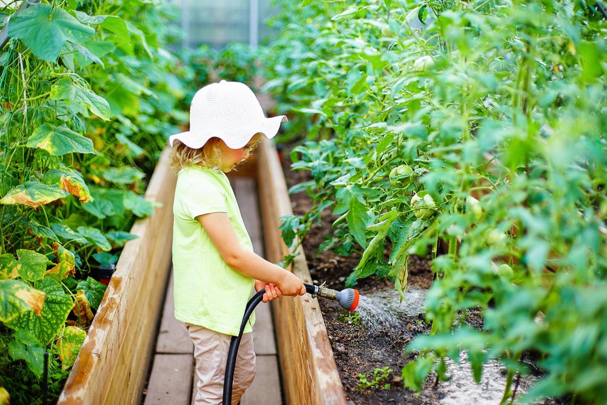 cityviewmag's tweet photo. Whether you plan to grow flowers, herbs, or vegetables, raised garden beds give you the unique opportunity to better control your growing conditions. Check out the article for more info: https://t.co/CULCDaf2Vv https://t.co/MKWh0cNuTz