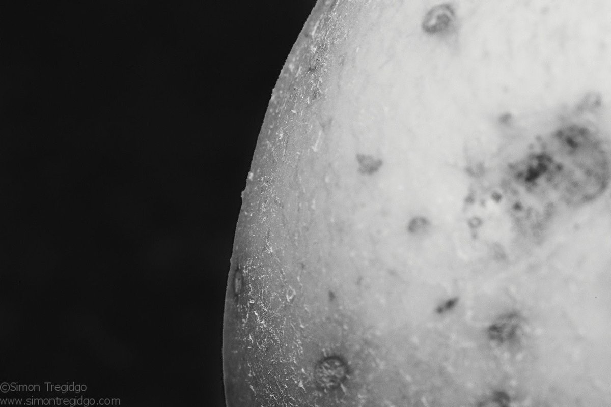 TogTregidgo's tweet photo. 2/9 of the #macrophotography #fridayPhoto series is this black and white image. Man has walked over it and some think of cheese when they see it, but what is it?
.
.
.
#curious #asking #mystery #dyk #ufo #theories #things #unknown #nature #natural #macroworld https://t.co/ZBJR5Ayuo9