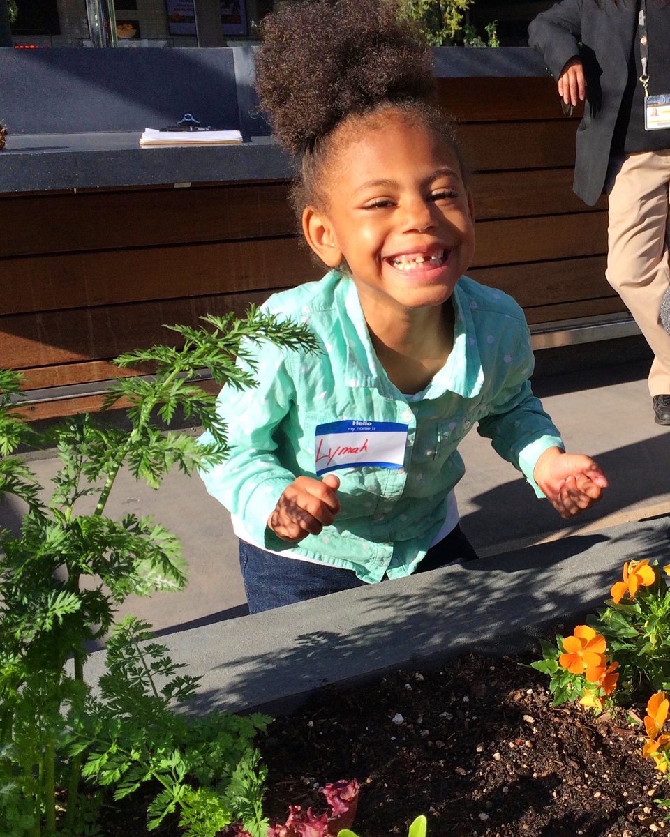 Giants Garden tweet media