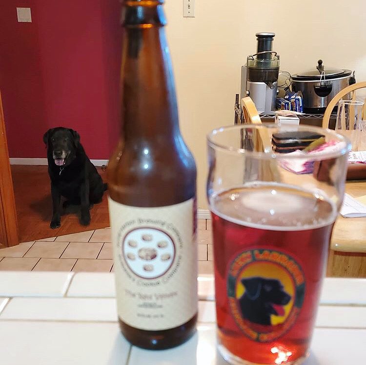 evacupet's tweet photo. This week requires a really big #tgif #friday #dog #blackdog #blacklab #rescue #rescuedog #gooddog #friday #fridayitis #evacupet #app #beer #beerme https://t.co/nurtLtI5by