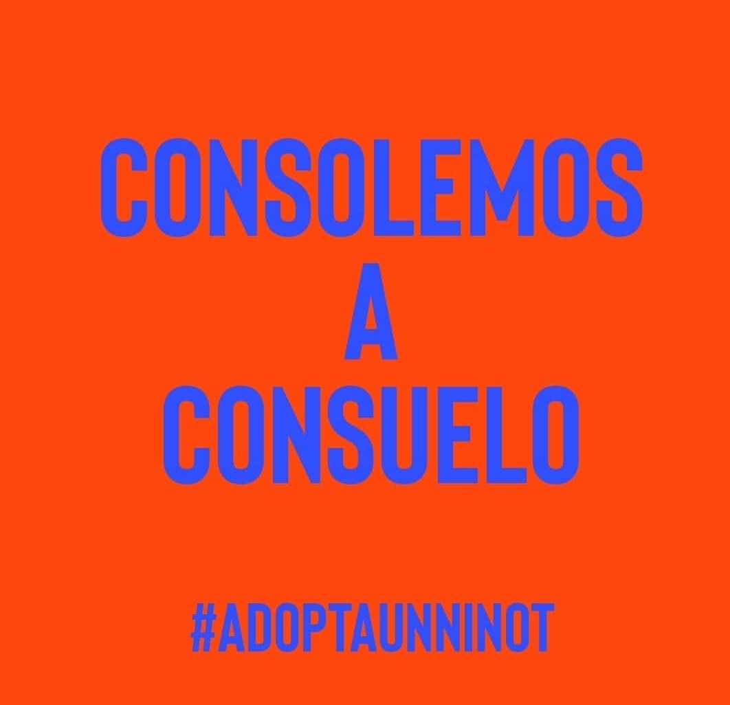 adoptaunninot's tweet photo. @act_fallera Consuelo tu puedes adoptar los que quieras. 🙄
#fallas2020 #fallas20 #Adoptaunninot #fallera #falleramayor https://t.co/KIQXLombEQ