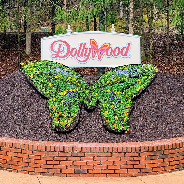 MouseMagicJJ's tweet image. Having Dollywood open again is like visiting dear old friends. :) @dollywood #dollywood #festivalofnations #butterfly #showstreet #loveeverymoment ift.tt/2IMzaZc