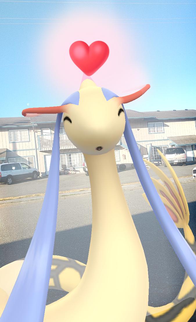 NicklebyThe's tweet photo. Milotic really loves walking.
#Pokemongo #pokemon #Pokemongopics #pokemonpictures #pokemongopictures #pokemonpics https://t.co/HHVd6jDUDy