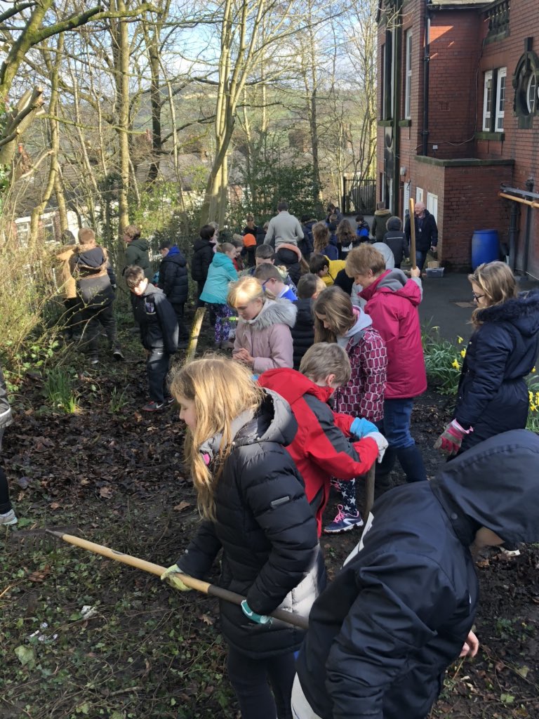 Disley Primary School tweet media