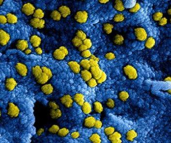 Tot en met 31 maart gelden er nieuwe maatregelen tegen de verspreiding van het coronavirus. Op oldenzaal.nl/coronavirus vindt u meer informatie.
We zien dat onze stad begripvol en daadkrachtig reageert op de maatregelen van de rijksoverheid. Daar hebben we veel waardering voor!