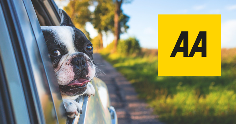 WebFarmMedia's tweet photo. Web Farm Media recently completed a large scale car insurance project with The AA.

More Info @ https://t.co/ERmbUZbd5e https://t.co/7r32pYIzTG