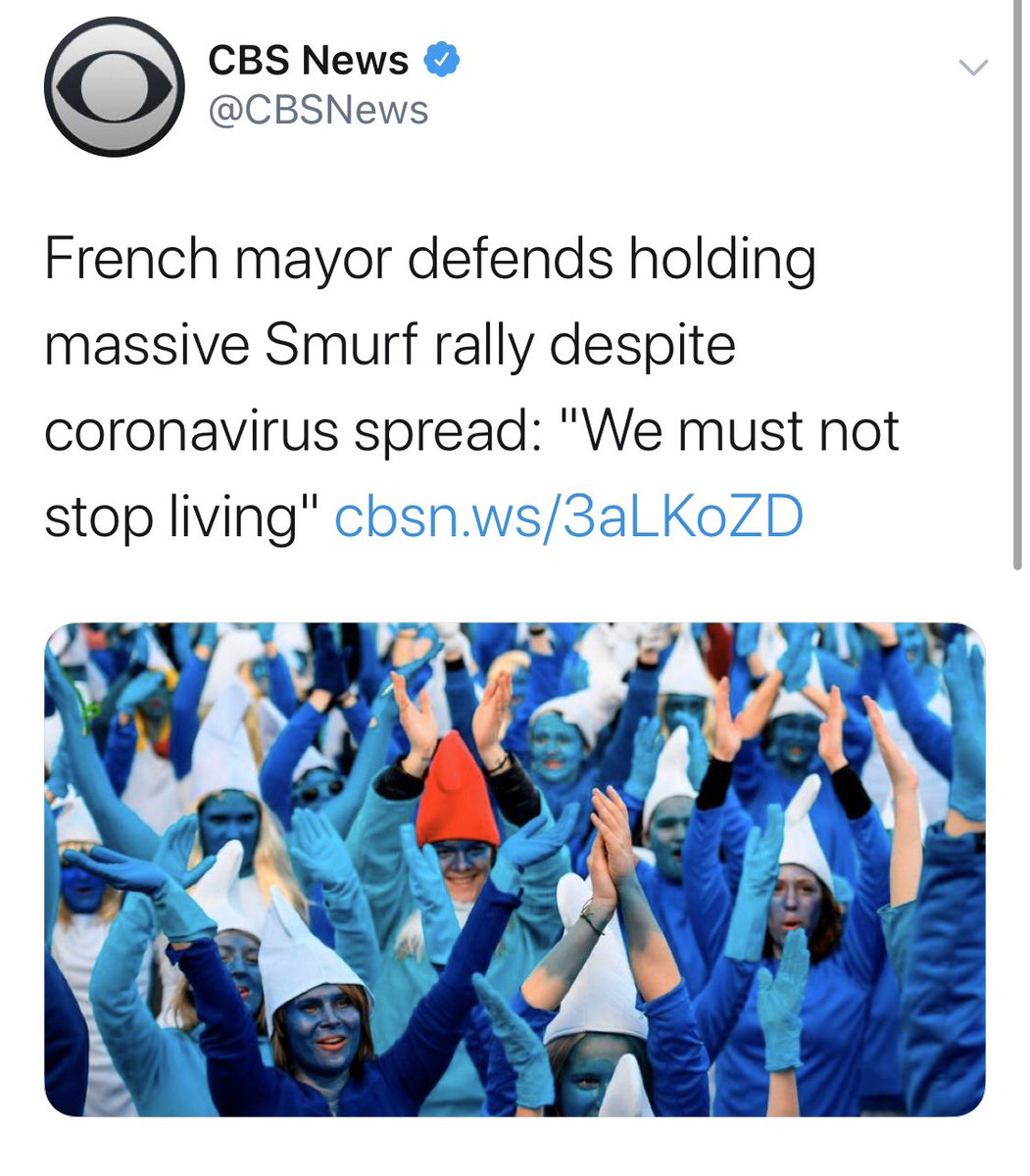 lauren tweet media