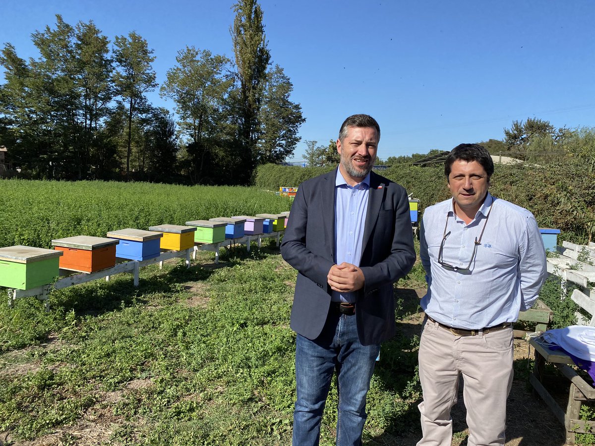 Apicultora de #SanVicente implementa sistema de monitoreo de colmenas que reduce riesgo de mortandad de las🐝 y aumenta productividad <a href="/Beewaze2/">Beewaze</a>, proyecto apoyado por @corfo <a href="/EmilianoOrueta/">#OruetaSirve</a> que fue visitado por  Ministro <a href="/sebastiansichel/">Sebastián Sichel</a>