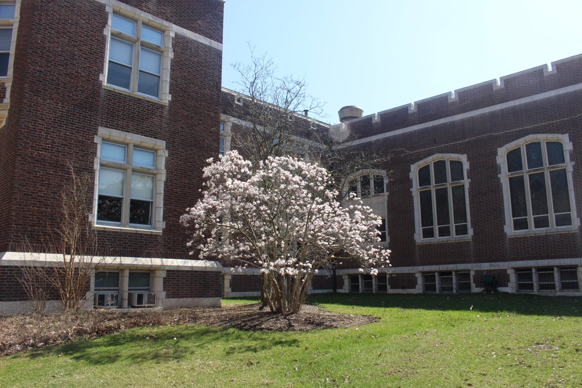 Keep this lovely thought in mind: spring is right around the corner - in six days! Wishing everyone a good Shabbos!

#ShabbatShalom dear friends!