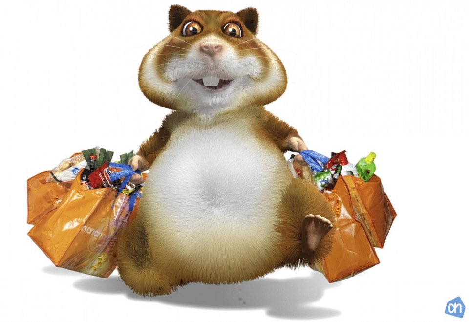 Harma van der Roest 🍀 tweet media