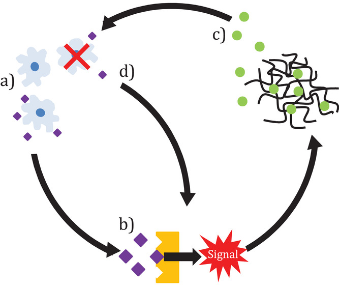 NPeppas's tweet photo. "Recent Advances in Smart Biomaterials for the Detection and Treatment of Autoimmune Diseases" today in open access https://t.co/4eryHqUvpV #AdvFunctMater A Shodeinde, A Murphy, H Oldenkamp, A Potdar, C Ludolph
@NPeppas @TexasChE @CockrellSchool @UTexasPharmacy @UTBiomedical https://t.co/Ln8ywC6Nsr