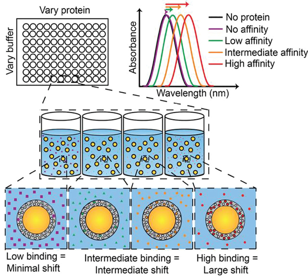 NPeppas's tweet photo. "Recent Advances in Smart Biomaterials for the Detection and Treatment of Autoimmune Diseases" today in open access https://t.co/4eryHqUvpV #AdvFunctMater A Shodeinde, A Murphy, H Oldenkamp, A Potdar, C Ludolph
@NPeppas @TexasChE @CockrellSchool @UTexasPharmacy @UTBiomedical https://t.co/Ln8ywC6Nsr