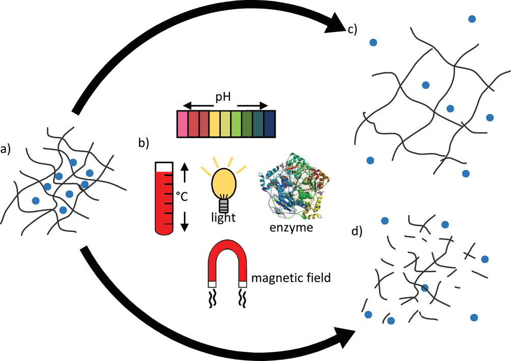 NPeppas's tweet photo. "Recent Advances in Smart Biomaterials for the Detection and Treatment of Autoimmune Diseases" today in open access https://t.co/4eryHqUvpV #AdvFunctMater A Shodeinde, A Murphy, H Oldenkamp, A Potdar, C Ludolph
@NPeppas @TexasChE @CockrellSchool @UTexasPharmacy @UTBiomedical https://t.co/Ln8ywC6Nsr