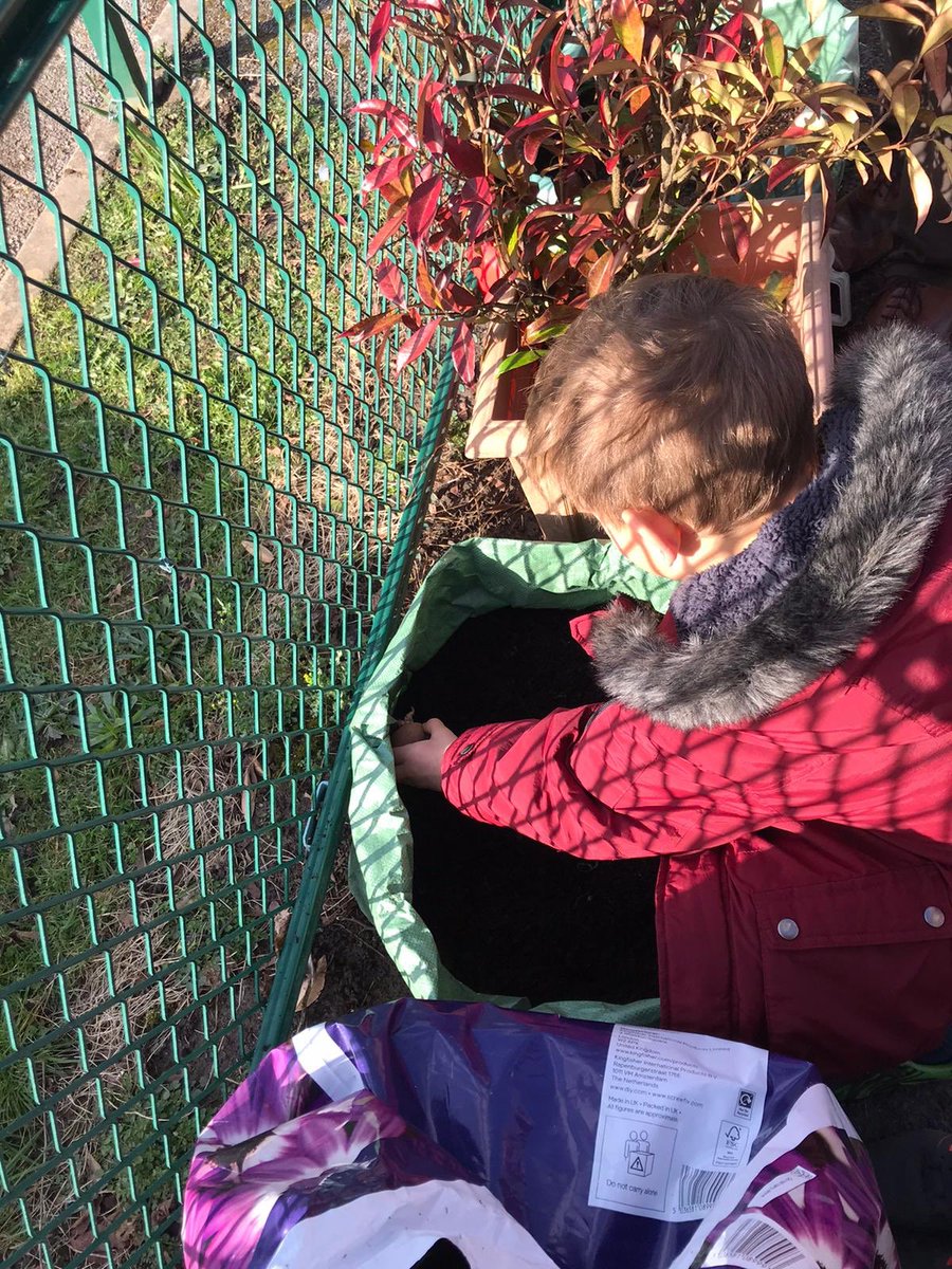 Hendrefoilan's tweet photo. Year 2 also enjoyed planting more potatoes today @potatoes4school #hdfp2 https://t.co/oyF5gZV2lp