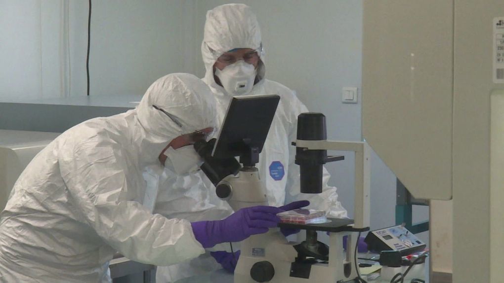 Zehub's tweet photo. Traitement contre le #Coronavirus: #découverte encourageante du #laboratoire #VirPath à #Lyon https://t.co/Br1sQhbEBR https://t.co/neGmY2ZnTX