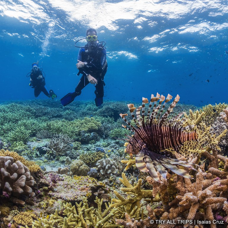 tryalltrips's tweet photo. #findesemana para soñar con #viajar. Preparar viajes, leer, ver pelis, canales de youtube. :-) Ánimo a toda la comunidad viajera. Las aguas pronto volverán a su cauce. #Indonesia #buceo https://t.co/8krvJOhYq6 https://t.co/GUsaDstP5s