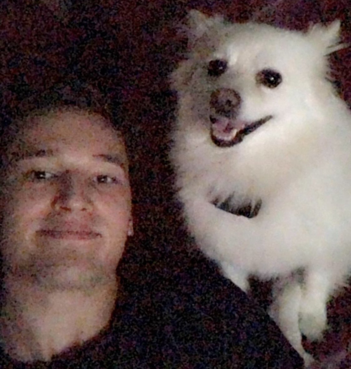 jackbadini's tweet photo. @ecachockey @dog_rates This is Milo. He loves to watch @HarvardMHockey https://t.co/zv5vkVfvdo