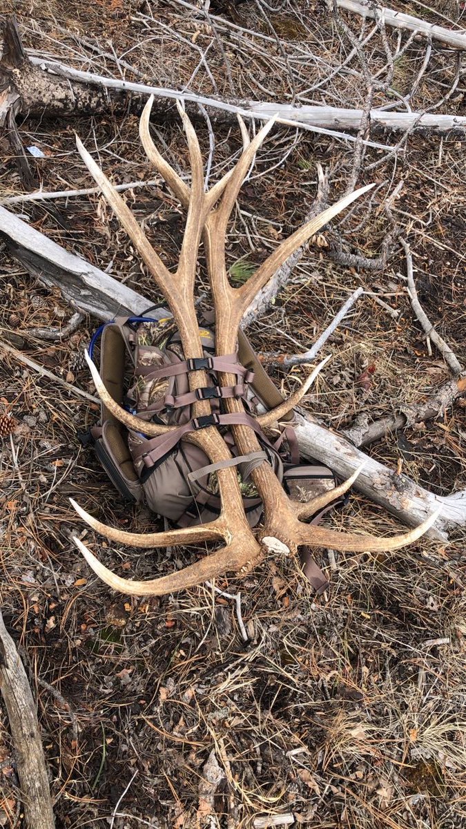 We talk about shed hunting and a great way to be outside during spring. Give it a listen while you stay safe from the #coronavirus #outdoors #fueledbynature #shedhunting #shedseason