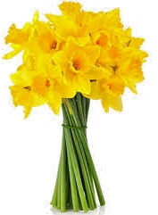 MOTHERING SUNDAY MARCH 22ND - HAVE YOU REMEMBERED YOUR ??? <a href="/KingsgatePrints/">Kingsgate Prints</a> <a href="/King_Alf/">Visit Winchester</a> <a href="/PilgrimsSchool/">The Pilgrims' School</a> <a href="/Bookwells/">P & G Wells</a> <a href="/hantschronicle/">Hampshire Chronicle</a> <a href="/WinColl/">Winchester College</a> #mumsandsons #sundayspecials #familiestogether