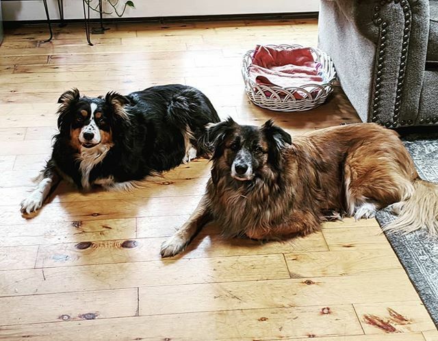 Sandy Hogan tweet media