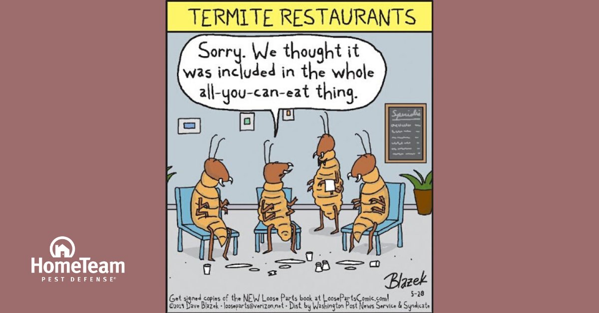 PestDefense's tweet photo. When termites go out to eat … 🤣 Illustration by @LoosePartsGuy #FridayBugFun https://t.co/MEhgIJ7Znx