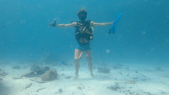 Walking the ocean floor 🐠 https://t.co/hSyjAqnYgu