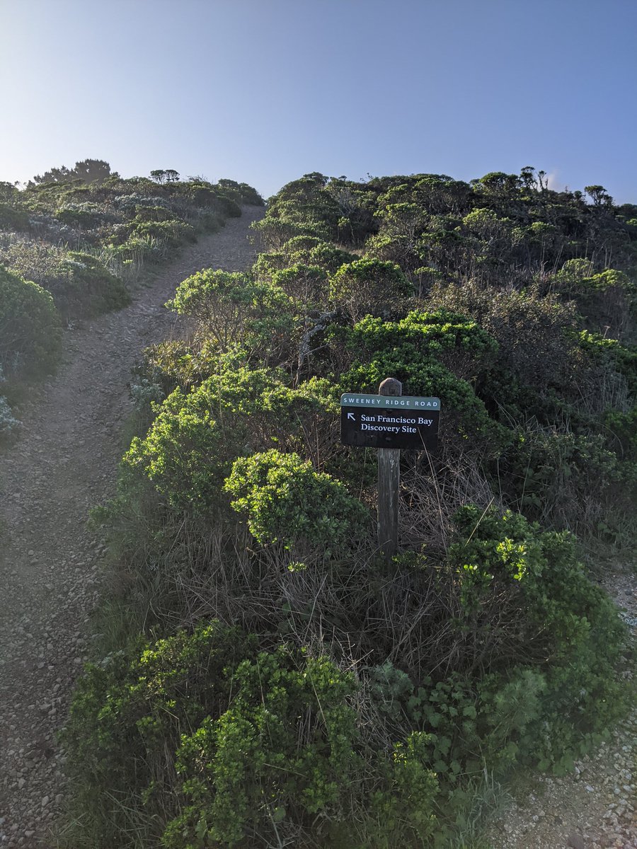 3.5 miles on Sweeny Ridge Trail before heading to the airport. Can't wait to get home.