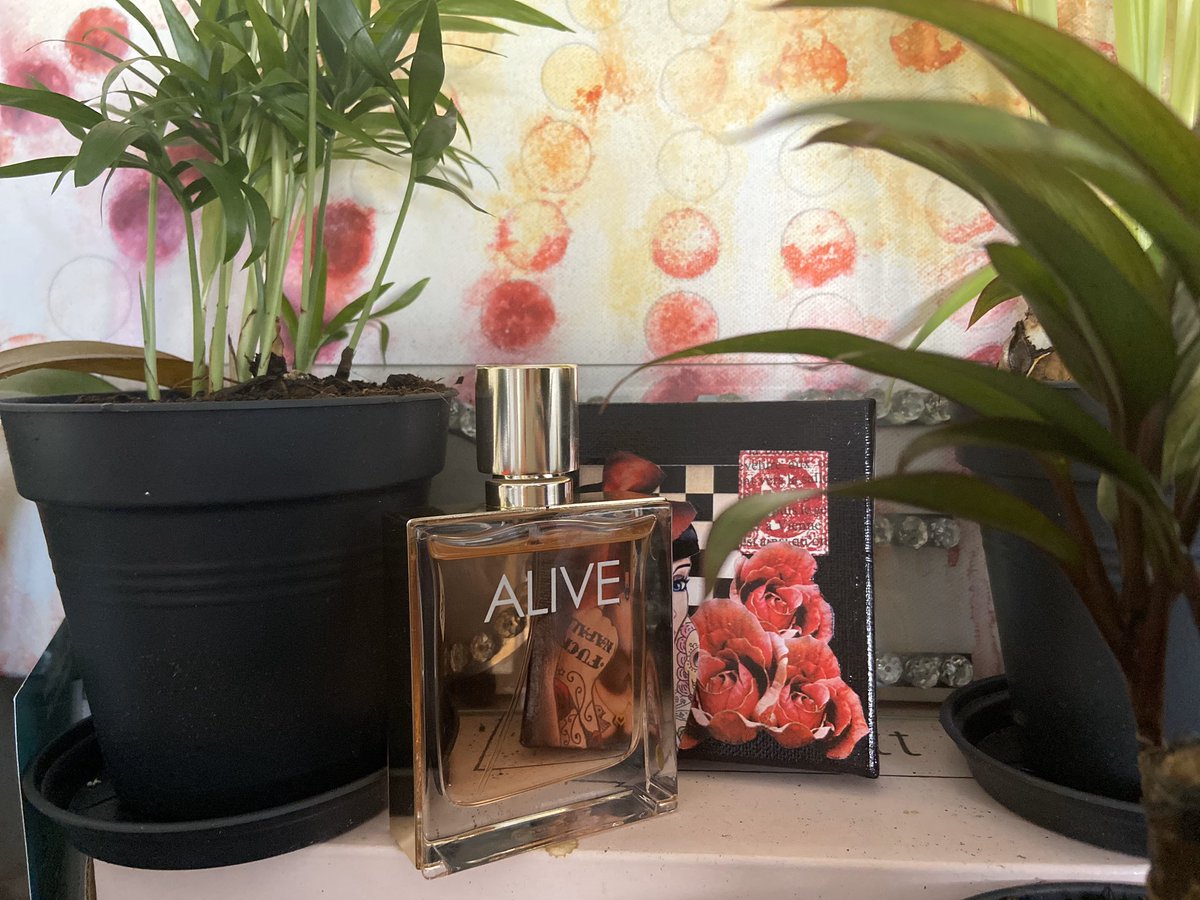 JAnonymagence's tweet photo. Mon nouveau parfum #alive #hugoboss je kiffe ! Avec ses notes de pommes et son ptit twist de vanille 🥰🥰🥰 https://t.co/kMv3uPOIn1