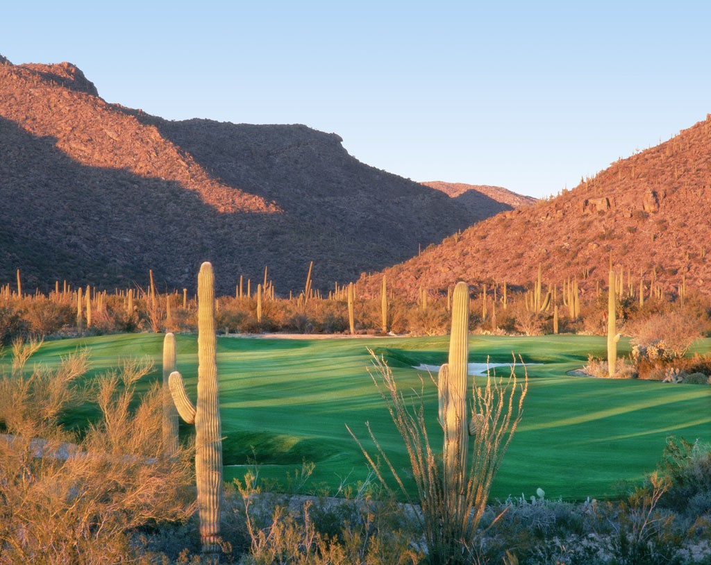 GalleryGolfClub's tweet photo. There's nothing quite like the view at the Gallery. A membership at The Gallery Golf Club is more than that—it's an experience! Call us at (520) 579-4116 to start your journey with us! 🌅 (via Mark Pazdur) https://t.co/PF8BP2Cj4O