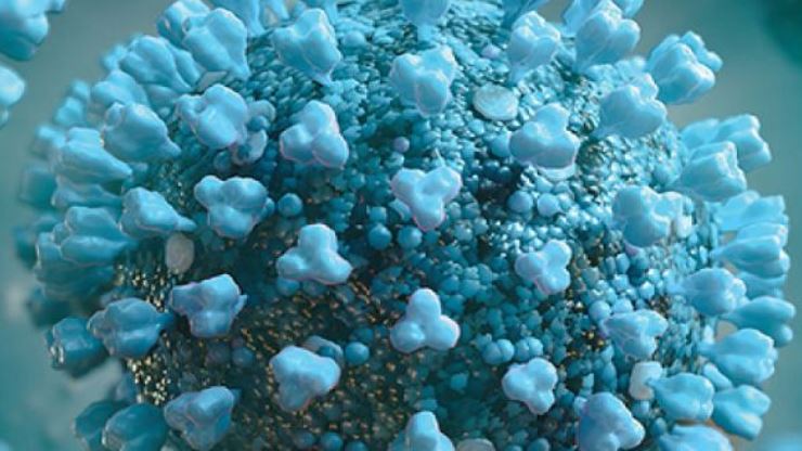 roche_es's tweet photo. Una nueva prueba automatizada de Roche para detectar el #coronavirus causante de #COVID19  recibe una aprobación de emergencia de la FDA y está disponible en los mercados con marcado CE https://t.co/TzmgdPWVlO https://t.co/tccFKVpIMR